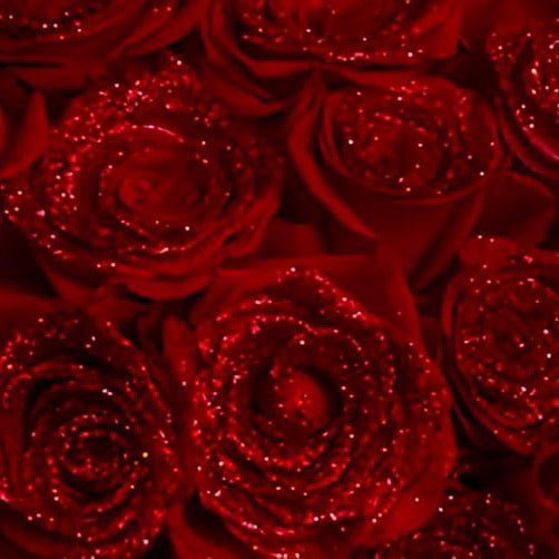 Les bouquets de roses de Dame Anaïs