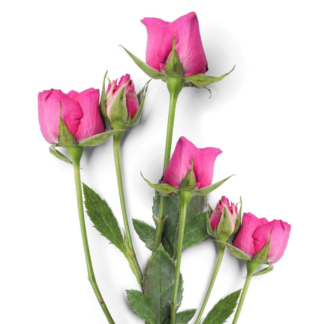 Clique, choisis, fleurie… Compose ton bouquet