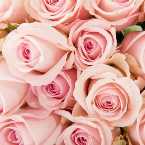 Clique, choisis, fleurie… Compose ton bouquet