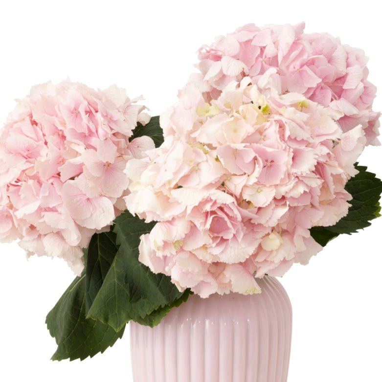 Clique, choisis, fleurie… Compose ton bouquet