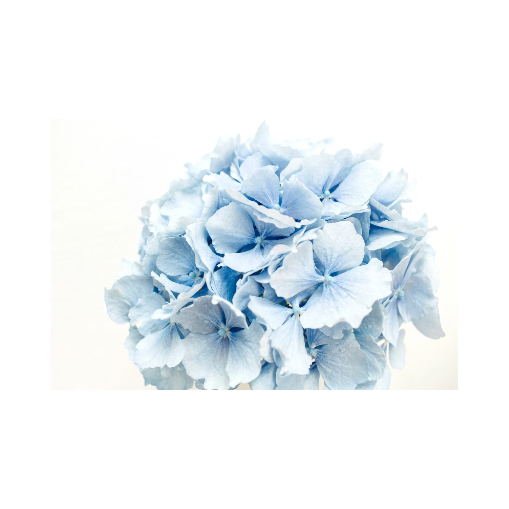 Clique, choisis, fleurie… Compose ton bouquet
